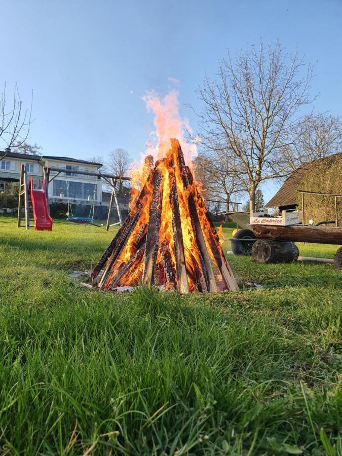 Ferienhof Leopold In Der Grub Ort im Innkreis Extérieur photo
