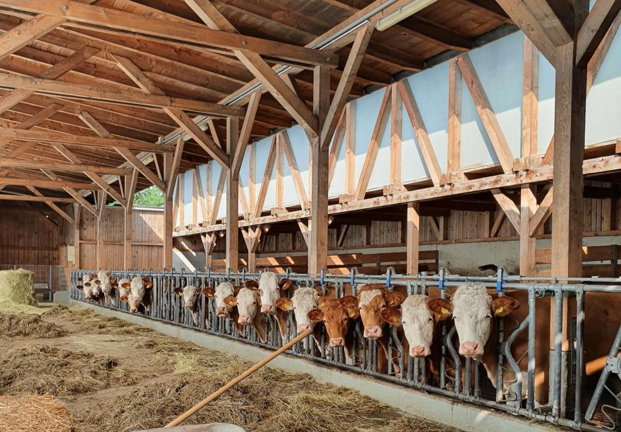 Ferienhof Leopold In Der Grub Ort im Innkreis Extérieur photo
